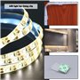 The Lord of the Tools 50pcs Clip de Bande Lumineuse Transparente avec Vis Clips de Montage de Bande Lumineuse Auto-adhésive Fixa