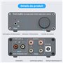 Amplificateur Audio à 2 Canaux