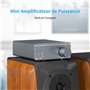 Mini Ampli Intégré Hi-Res Classe D pour Haut-Parleurs