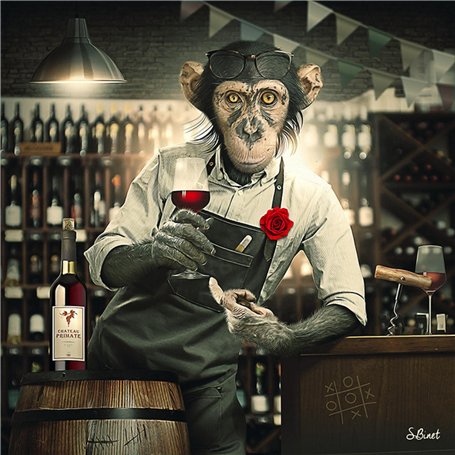 CEyyPD Singe drôle buvant du vin et chien jouant du piano affiches impressions toile peintures mur Art photos salon décor 70x70