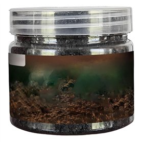 1 bouteille Activateur de sol Activateur multifonctionnel Engrais de plante intérieure pratique multifonctionnelle pour les fleu