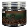 1 bouteille Activateur de sol Activateur multifonctionnel Engrais de plante intérieure pratique multifonctionnelle pour les fleu