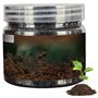 1 bouteille Activateur de sol Activateur multifonctionnel Engrais de plante intérieure pratique multifonctionnelle pour les fleu