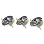Porte-balais pour Moteur de Voiture, Pexorin Support de balais de Charbon de Moteur, Pratique à Utiliser, for RS775 RS750