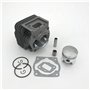 ZAPYVET Kit de Joint de Rouleau d'aiguille de goupille de Segment de Piston de Cylindre de 44MM, for Ryobi, pièces de Rechange d