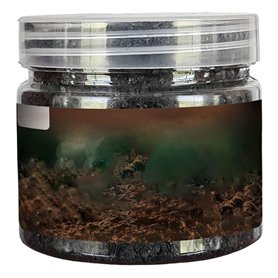 1 bouteille Activateur de sol Activateur multifonctionnel Engrais de plante intérieure pratique multifonctionnelle pour les fleu