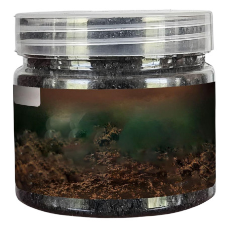 1 bouteille Activateur de sol Activateur multifonctionnel Engrais de plante intérieure pratique multifonctionnelle pour les fleu