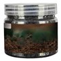 1 bouteille Activateur de sol Activateur multifonctionnel Engrais de plante intérieure pratique multifonctionnelle pour les fleu
