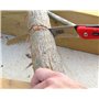 TABOR TOOLS TTS25E Scie Pliante à élaguer dotée avec Lame Pliable légèrement courbée en Acier trempé, Scie de Jardin, Scie élaga