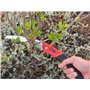 TABOR TOOLS TTS25E Scie Pliante à élaguer dotée avec Lame Pliable légèrement courbée en Acier trempé, Scie de Jardin, Scie élaga
