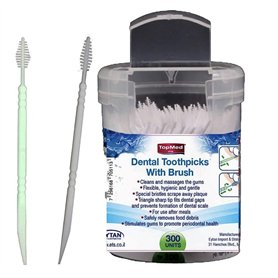 TOPMED ETS Lot de 300 cure-dents en plastique manuel pour soins buccaux (couleur aléatoire)