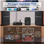 AIYIMA A70 Amplificateur stéréo équilibré avec PFFB 4 Ohm 300 watts TPA3255 2.0 CH Classe D pour haut-parleur de bibliothèque de