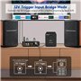 AIYIMA A70 Amplificateur stéréo équilibré avec PFFB 4 Ohm 300 watts TPA3255 2.0 CH Classe D pour haut-parleur de bibliothèque de