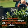 Husqvarna Aspire H50-P4A Taille-Haies sans Fil sans Batterie (18V) et sans Chargeur, Taille-Haies électrique (Longueur de Lame 5