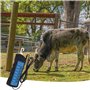 Tension sans Contact ClôTure Au NéOn DéTecteur D'Erreur éLectrique NuméRique Portable VoltmèTre DéP