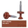marron cuivré) RAL 8004
