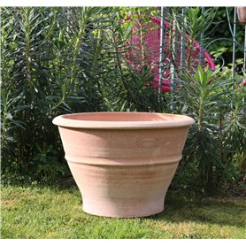 Pot de plantes en terre cuite