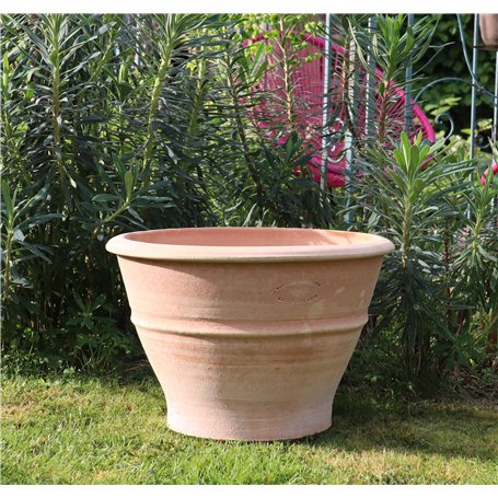 Pot de plantes en terre cuite