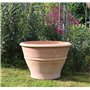 Pot de plantes en terre cuite