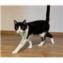 Compatible Petsafe Lot de 2 étiquettes minuscules médaillons d'Identification RFID Collier balises Disque Clé Puce