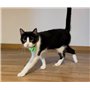 Compatible Petsafe Lot de 2 étiquettes minuscules médaillons d'Identification RFID Collier balises Disque Clé Puce