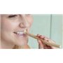 Pâte Dentifrice naturel Miswak (Siwak) Sans saveur