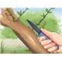 Pâte Dentifrice naturel Miswak (Siwak) Sans saveur