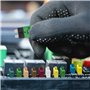 Gloso Disjoncteur Fusibles à lames Réinitialisation manuelle Standard Le bateau Camion Voitures 10 AMP 5 paquets E39