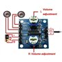TECNOULAB 2 pièces Carte amplificateur numérique PAM8406 stéréo 5Wx2 avec potentiomètre de Volume