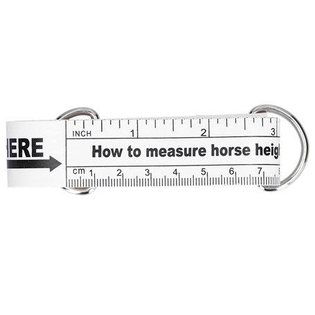 de mesure de cheval