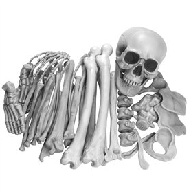 Sac d'os (28 pcs) faux os de squelettes réalistes Squelette en plastique effrayant squelette effrayant grandeur nature pour l'Ha