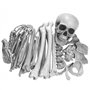 Sac d'os (28 pcs) faux os de squelettes réalistes Squelette en plastique effrayant squelette effrayant grandeur nature pour l'Ha