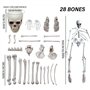 Sac d'os (28 pcs) faux os de squelettes réalistes Squelette en plastique effrayant squelette effrayant grandeur nature pour l'Ha
