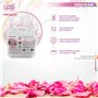 Dr. Dry - Cristaux de Gel de Silice pour séchage des Fleurs et des Fruits - 2,2 kg - Flower Drying Kit - indicateur de coleur