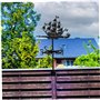 Girouette Bateau Pirate Girouettes Météo pour Le Jardin Toit Montage Girouette pour Cour Indicateur de Direction du Vent en méta