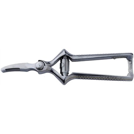 Victorinox Masticateur