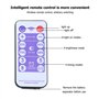Tudin Boîte de contrôle de guirlande lumineuse solaire, 8 modes d'éclairage intégrés, panneau de commande automatique de guirlan