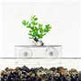 lazyfun Étagère de fenêtre en acrylique transparent avec ventouse puissante pour plantes d'intérieur