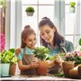 lazyfun Étagère de fenêtre en acrylique transparent avec ventouse puissante pour plantes d'intérieur