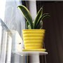 lazyfun Étagère de fenêtre en acrylique transparent avec ventouse puissante pour plantes d'intérieur