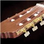 remplacement des pièces de guitare