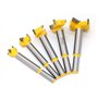 5pcs pointes charnière Bit de forage ennuyeux Ensemble for la menuiserie de trous de fenêtre en bois au toit de trous de bois de