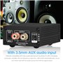 Nobsound 100W Subwoofer Amplificateur de puissance mono Amplificateur de puissance numérique Mini Audio Amp (Sans alimentation)