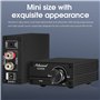 Nobsound 100W Subwoofer Amplificateur de puissance mono Amplificateur de puissance numérique Mini Audio Amp (Sans alimentation)