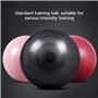 Ballon de yoga Ballon de fitness Ballon de Pilates Ballon d'accouchement Perte de poids et formation de physiothérapie Balle d'e