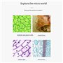 Microscope trinoculaire HD, source de lumière LED haute luminosité respectueuse de l'environnement, pour la détection d'analyseu