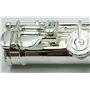 Instrument de Musique Professionnel
