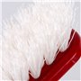 La Briantina SPA06698A Brosse de Sol New Ready Balai à torchons à Poils durs