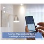 Beghelli - Ampoule LED Smart GLOBO E27 14W RGB-CCT WiFi, Compatible avec Alexa, Application Domotique, Réglage des Couleurs et d