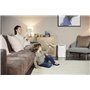De'Longhi Tasciugo AriaDry Déshumidificateur DEX210SF, Déshumidificateur Portable avec Système de Filtration à 3 Actions, Foncti